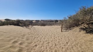 2023-GC--Mapalomas dunas-S123-122.jpg